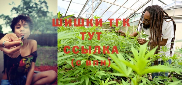 гашик Нягань