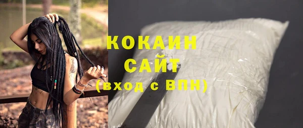 крисы Новозыбков