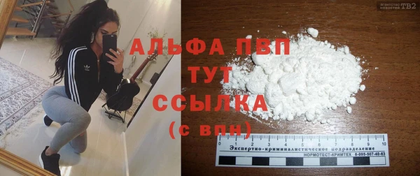 крисы Новозыбков
