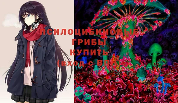 крисы Новозыбков