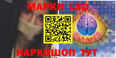 МДПВ Донецк