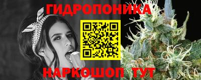 МДПВ Донецк