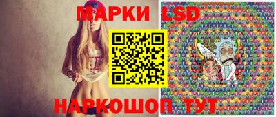 МДПВ Донецк