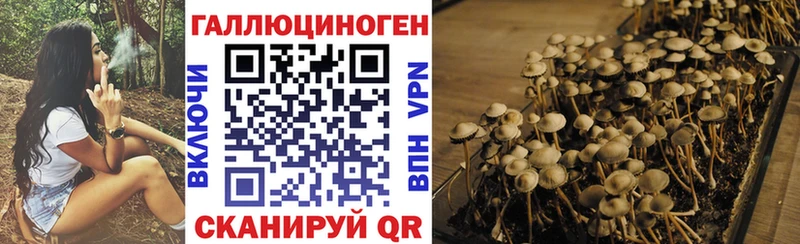 Псилоцибиновые грибы Magic Shrooms  где можно купить наркотик  Красноярск 