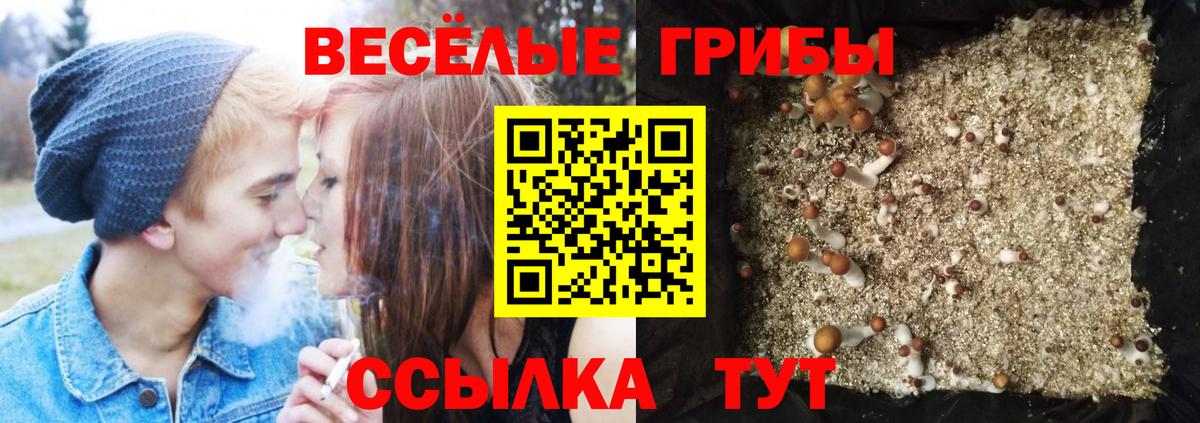 A-PVP Красноярск